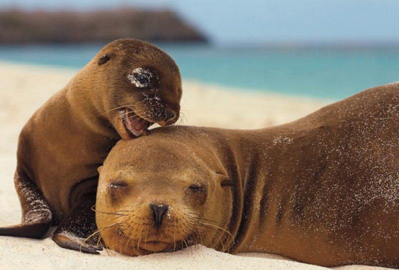 En güzel ödüllü manzara fotoğrafları 