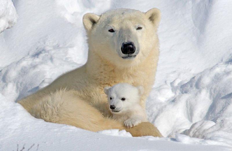 En güzel ödüllü manzara fotoğrafları 