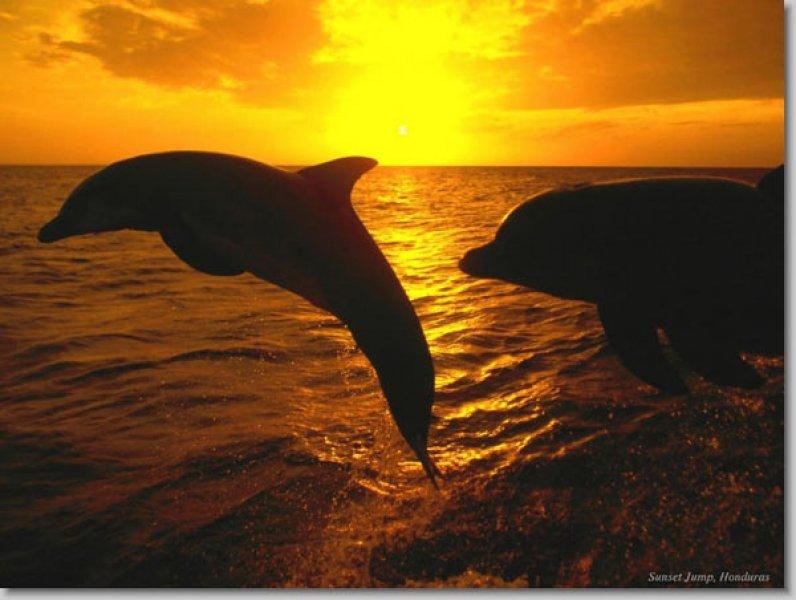 En güzel ödüllü manzara fotoğrafları 