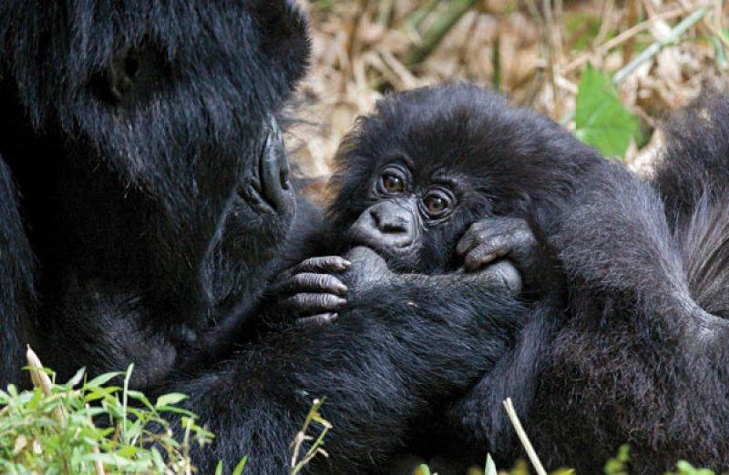 En güzel ödüllü manzara fotoğrafları 
