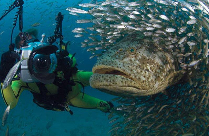 En güzel ödüllü manzara fotoğrafları 