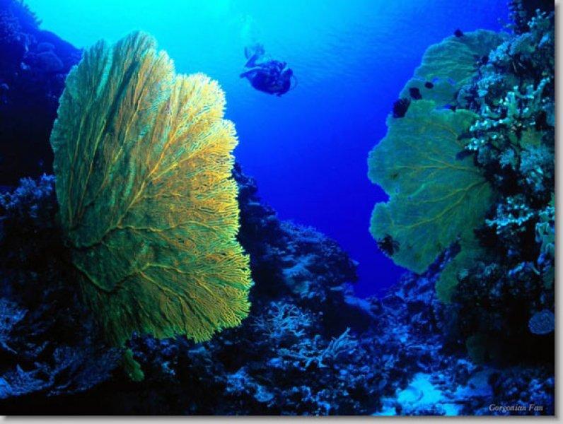 En güzel ödüllü manzara fotoğrafları 