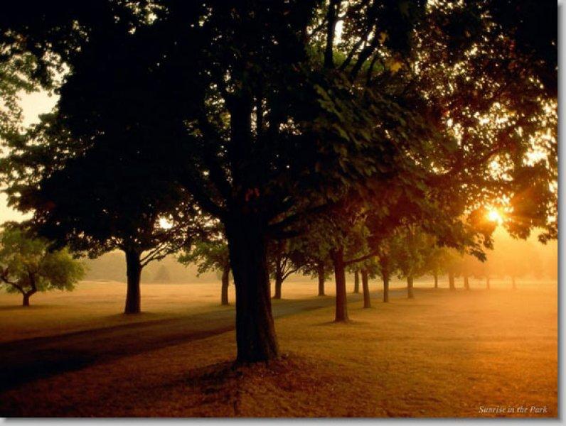 En güzel ödüllü manzara fotoğrafları 