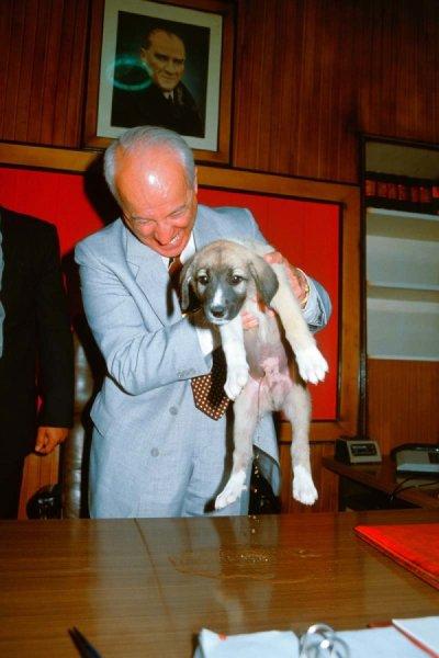 İngiltere'nin arşivinden Türkiye çıktı