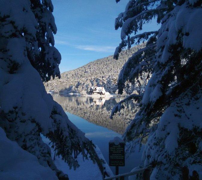 Gölcük Tabiat Parkı'ndaki göl buz tuttu