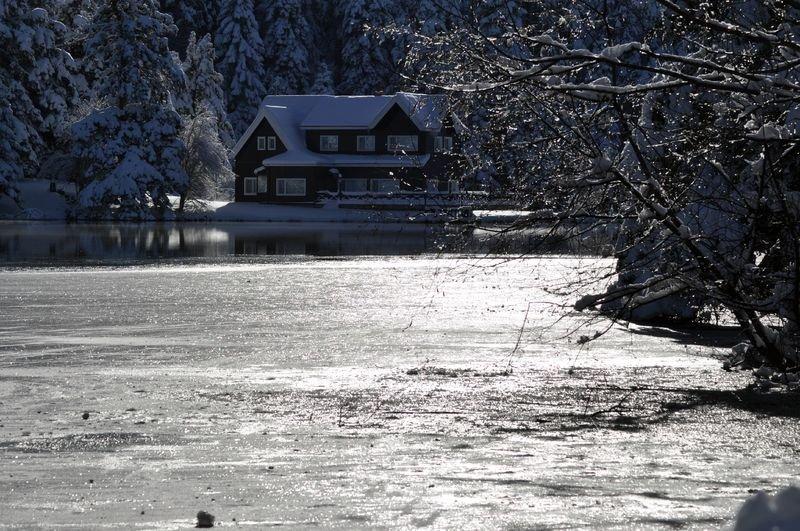 Gölcük Tabiat Parkı'ndaki göl buz tuttu