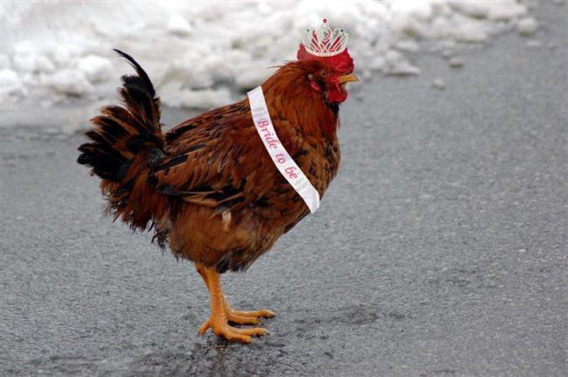 Türkiye'den ilginç düğün gelenekleri