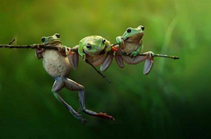 Sony'den en güzel fotoğraflar