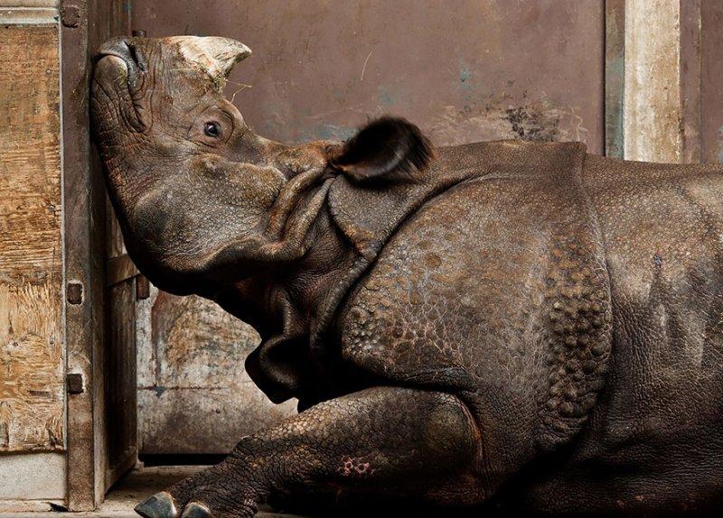 Sony'den en güzel fotoğraflar