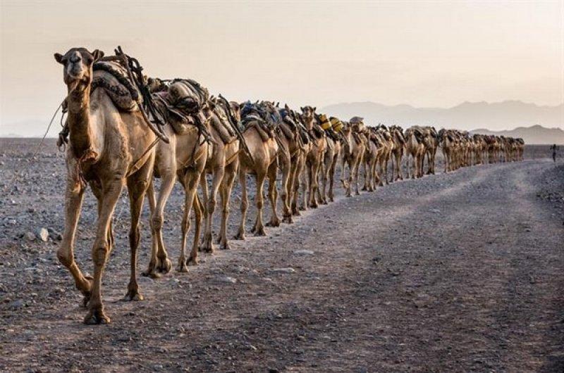 Sony'den en güzel fotoğraflar