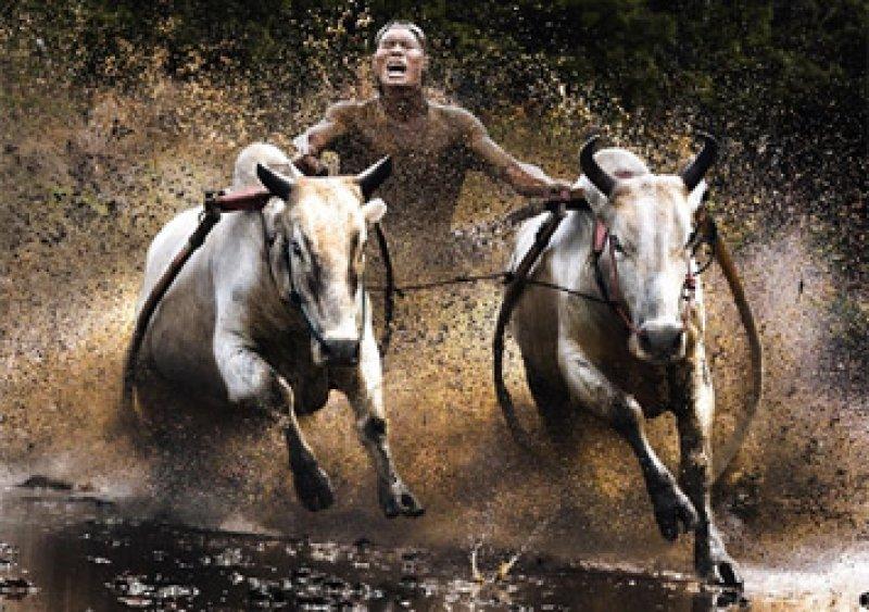 Sony'den en güzel fotoğraflar