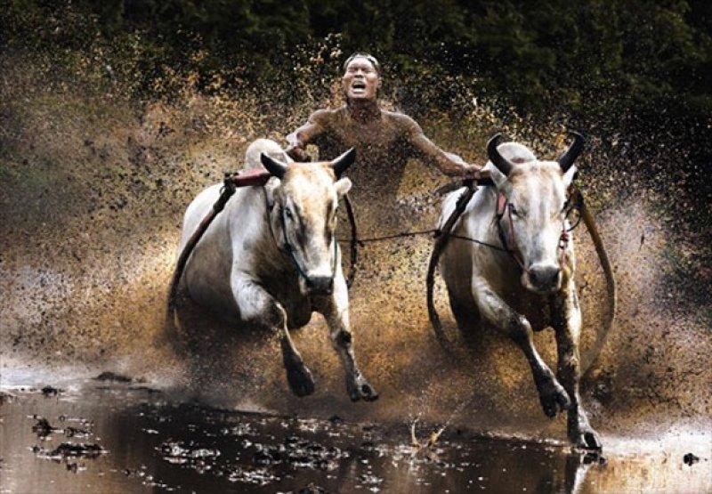 Sony'den en güzel fotoğraflar