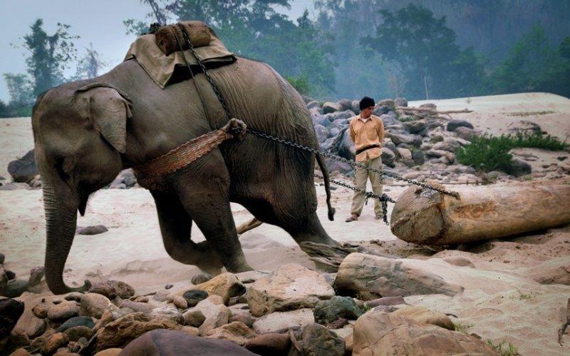 Sony'den en güzel fotoğraflar