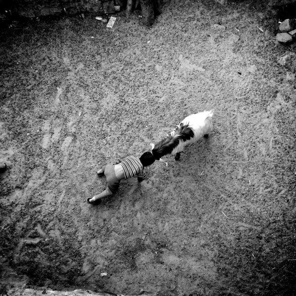 Sony'den en güzel fotoğraflar