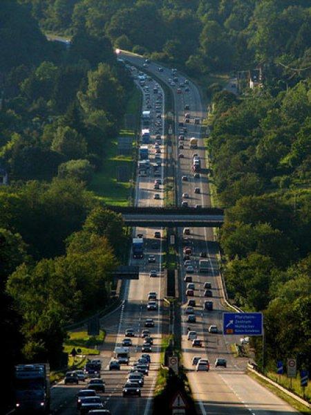 Dünyanın çeşitli ülkelerinden en ilginç yasaklar 