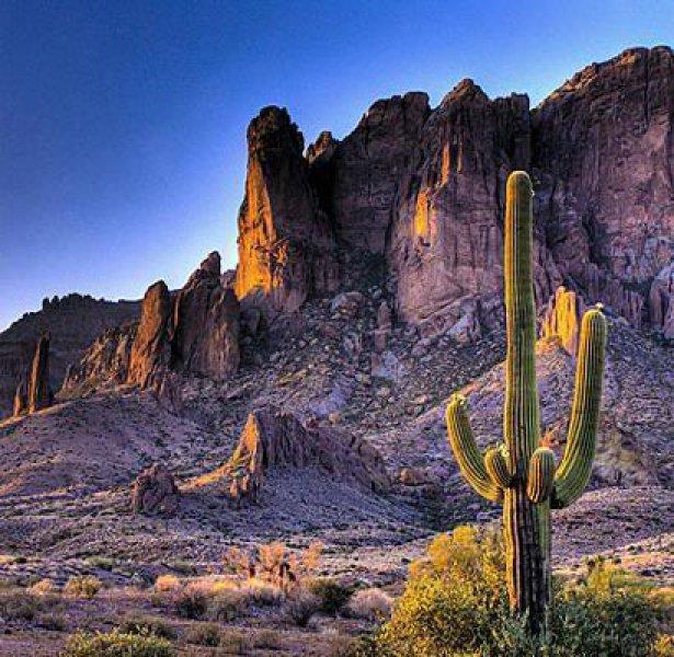Dünyanın çeşitli ülkelerinden en ilginç yasaklar 