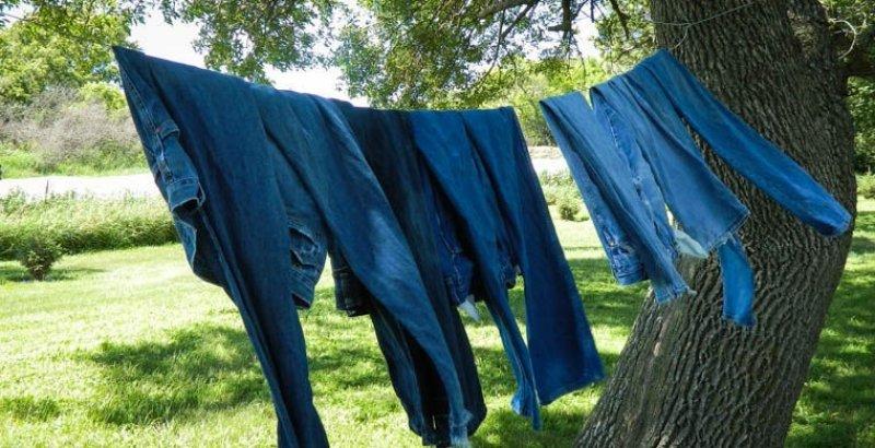 Dünyanın çeşitli ülkelerinden en ilginç yasaklar 