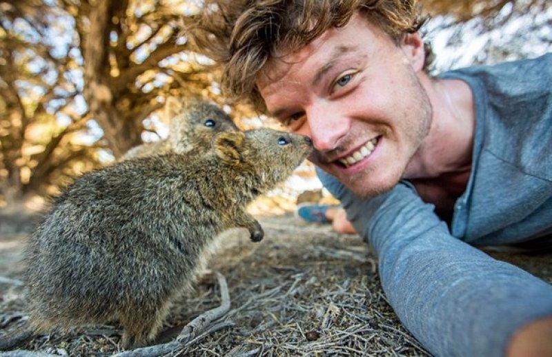 Allan Dixon'un en büyük tutkusu hayvanlarla selfie çekmek