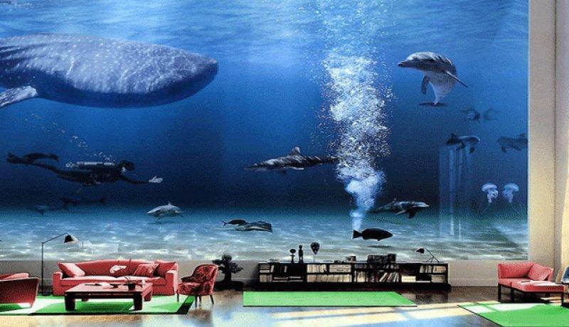 Dünyanın en zengin adamı Bill Gates'in muhteşem evi 