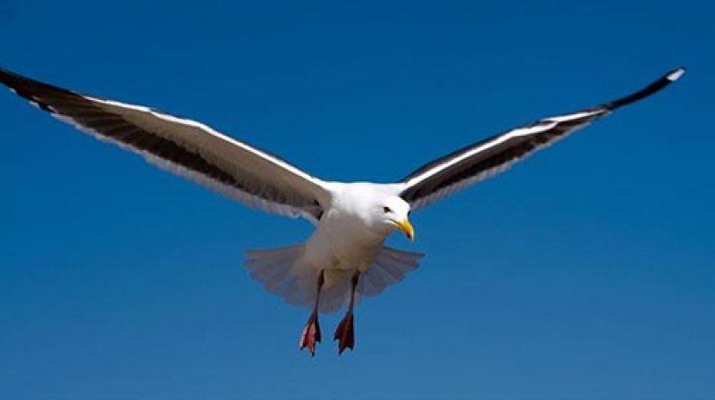 Dünyanın dört bir yanından ilginç batıl inançlar