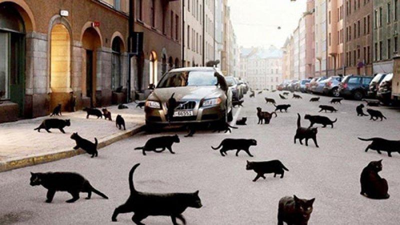 Dünyanın dört bir yanından ilginç batıl inançlar