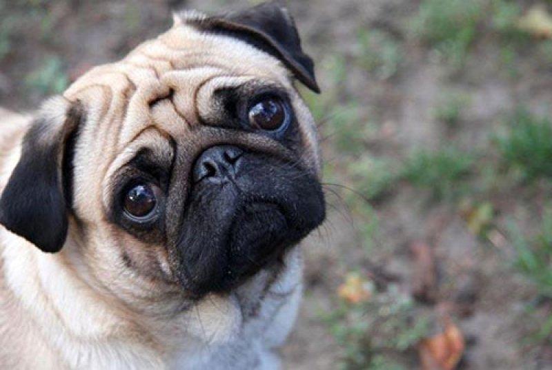 Dünyanın dört bir yanından ilginç batıl inançlar