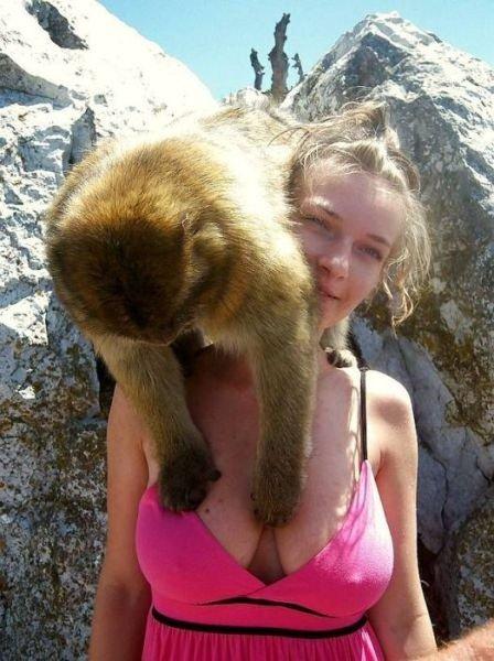 Sosyal medyada paylaşılan komik fotoğraflar 