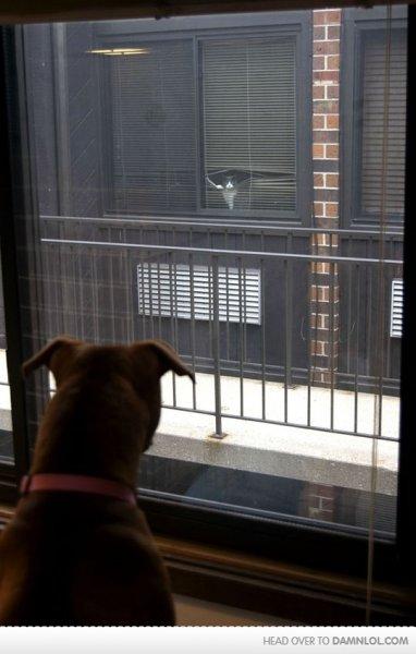 Sosyal medyada paylaşılan komik fotoğraflar 