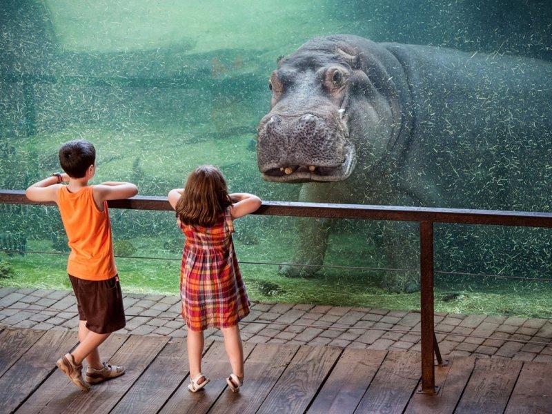 Sosyal medyada paylaşılan komik fotoğraflar 