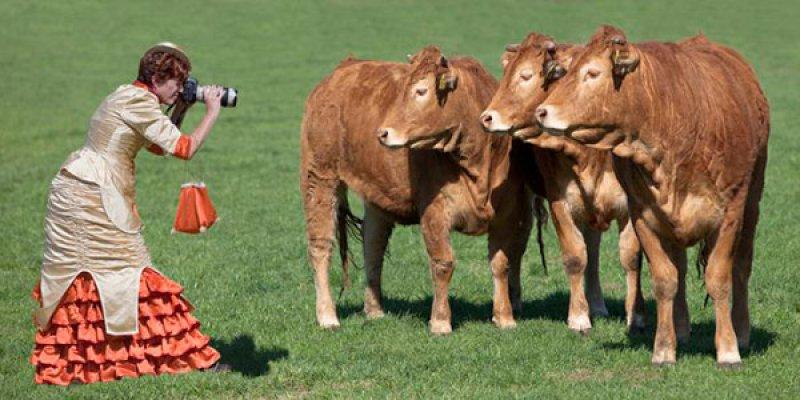 Sosyal medyada paylaşılan komik fotoğraflar 