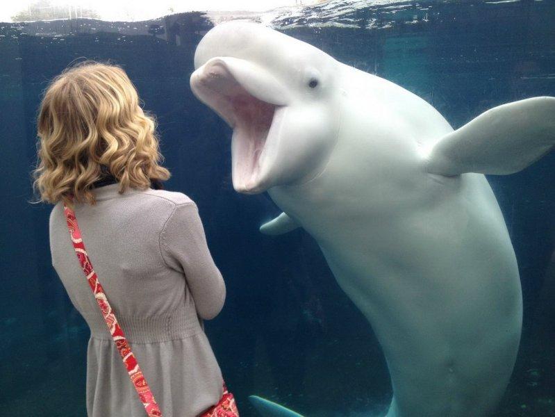 Sosyal medyada paylaşılan komik fotoğraflar 