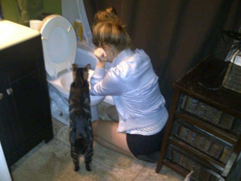 Sosyal medyada paylaşılan komik fotoğraflar 