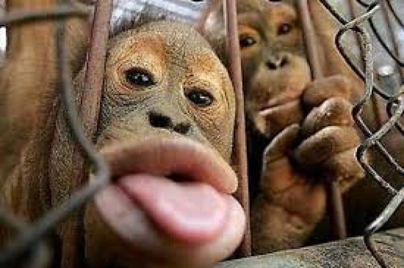 Sosyal medyada paylaşılan komik fotoğraflar 