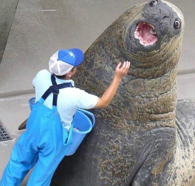 Sosyal medyada paylaşılan komik fotoğraflar 