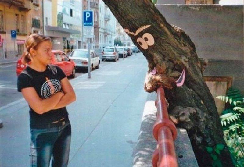 Sosyal medyada paylaşılan komik fotoğraflar 