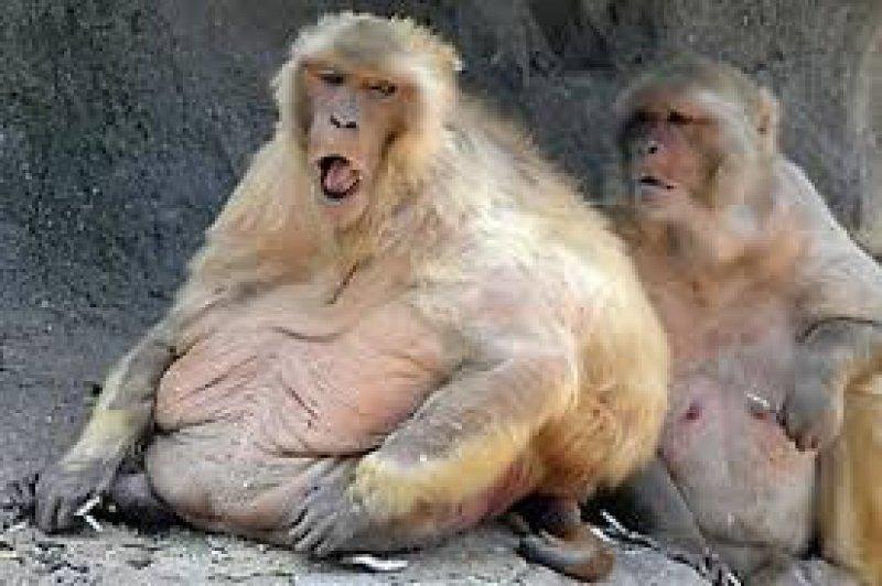 Sosyal medyada paylaşılan komik fotoğraflar 