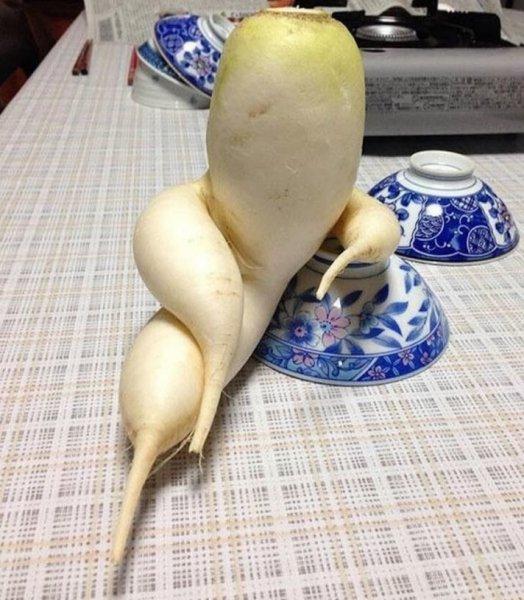 Hayvan ve insan figürlerine benzeyen ilginç bitkiler 