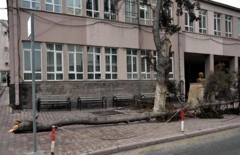 Kayseri’de lodeos etkili oldu 