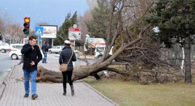Kayseri’de lodeos etkili oldu 