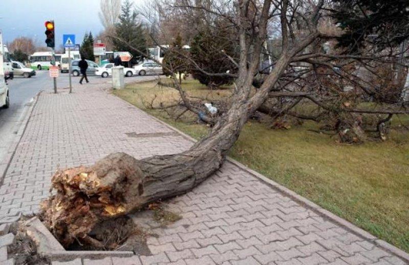 Kayseri’de lodeos etkili oldu 