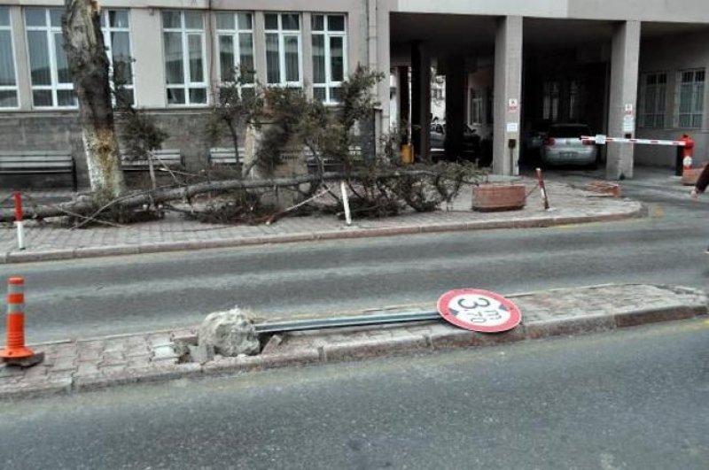 Kayseri’de lodeos etkili oldu 