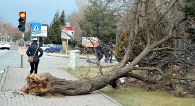 Kayseri’de lodeos etkili oldu 
