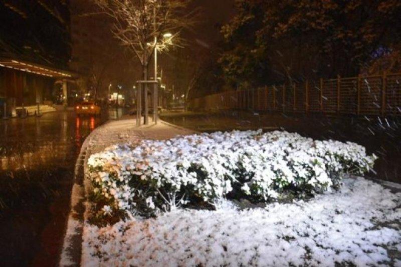 Kayseri’de lodeos etkili oldu 