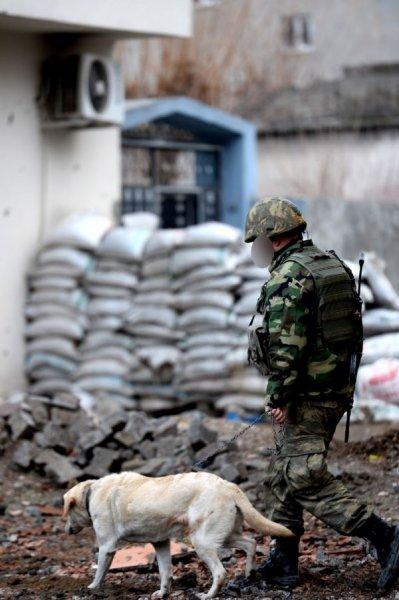 Cizre'de operasyonun 43. günü kamerada