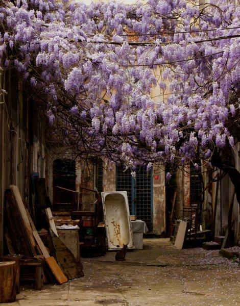 Bir dönemin sessiz tanığı: Narmanlı Han