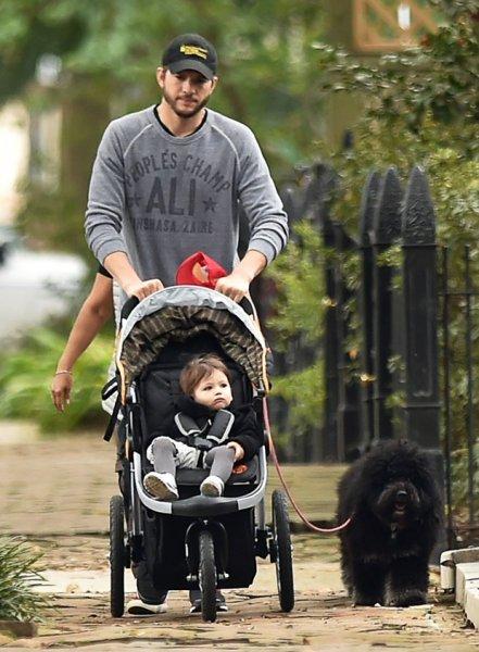 Yılın babası:  Ashton Kutcher