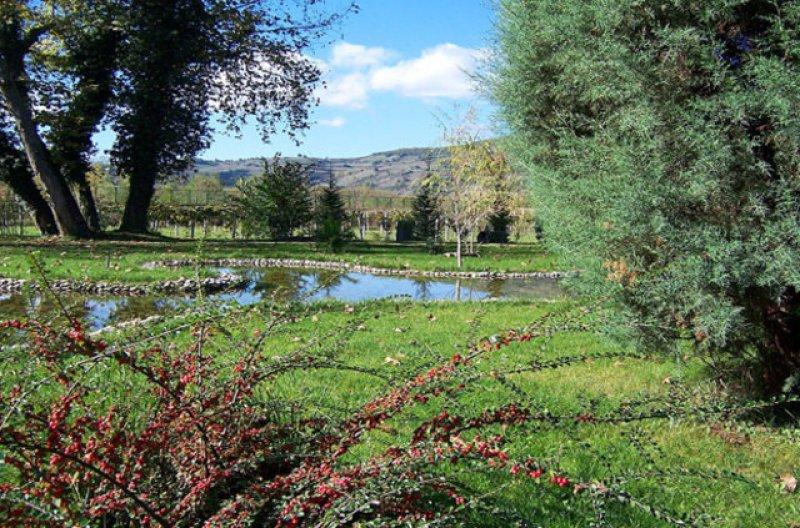 Ölmeden önce Türkiye'de görmeniz gereken 50 yer