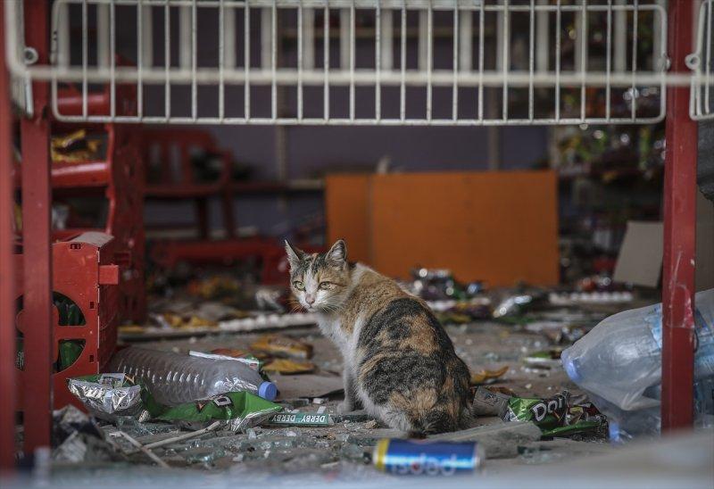 Teröristlerin Cizre'ye verdiği zarar ortaya çıktı