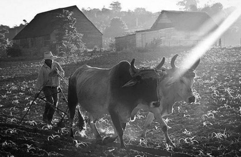 Günün en etkileyici fotoğrafları