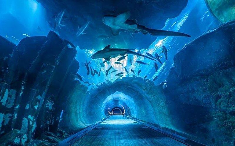 Günün en etkileyici fotoğrafları